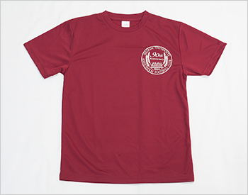90周年記念オリジナルTシャツ（背番号なし、表）